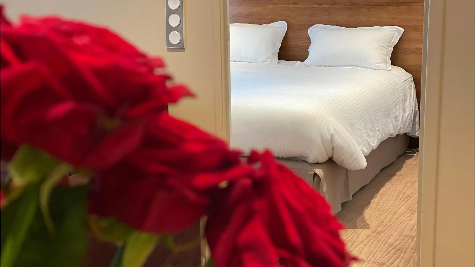 Amazing Apartment In Saint-Affrique With Wifi